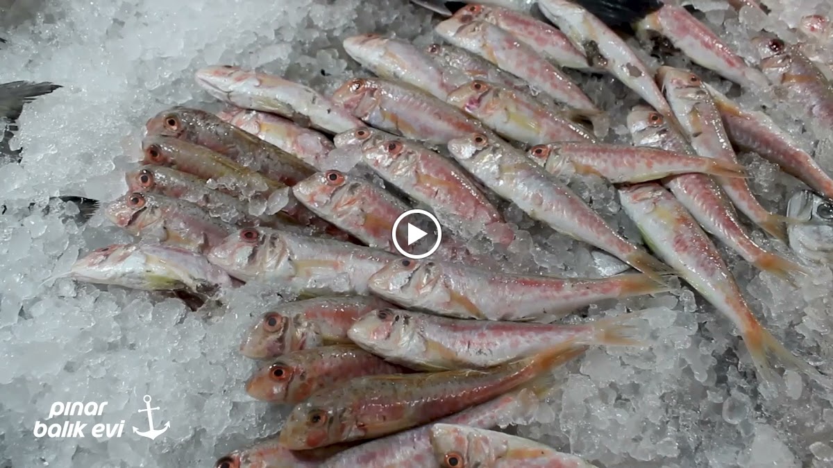 Pinar Balik Marketim Restaurant-2